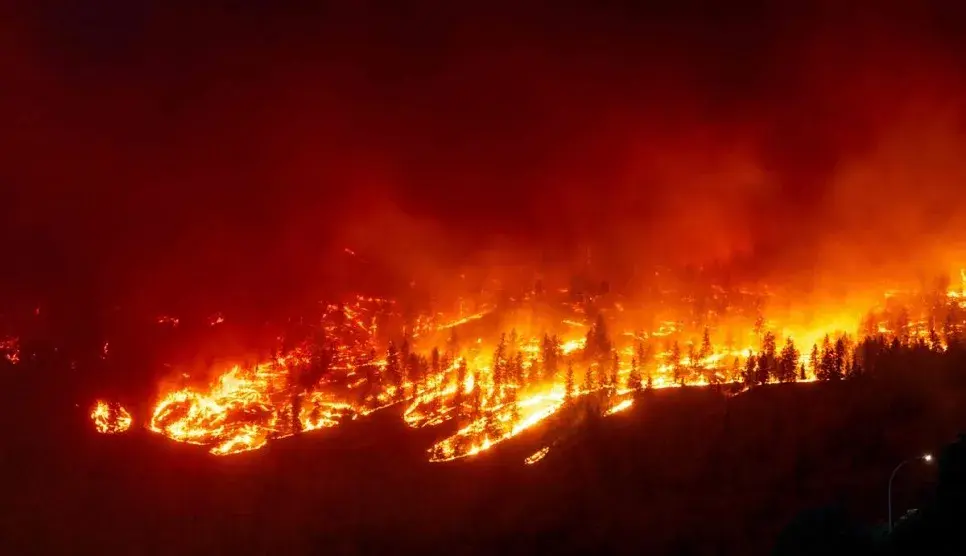 Meta Criticised in Canada for Blocking News on Facebook Amid Wildfires