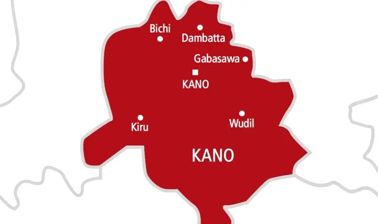 kano 768x455 1