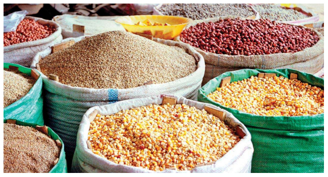 Nigeria's 2024 Food Crisis Worsens, Impacting Millions